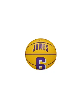 basket-ball Wilson NBA Player Icon Mini Lebron Ball