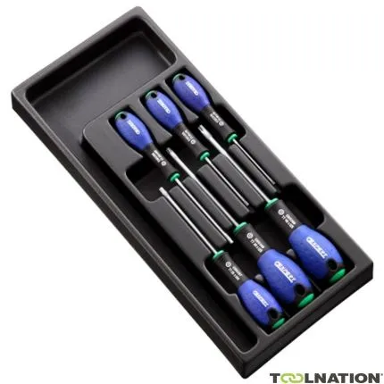 Facom Expert E194941 Module de 6 tournevis