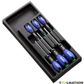 Facom Expert E194941 Module de 6 tournevis